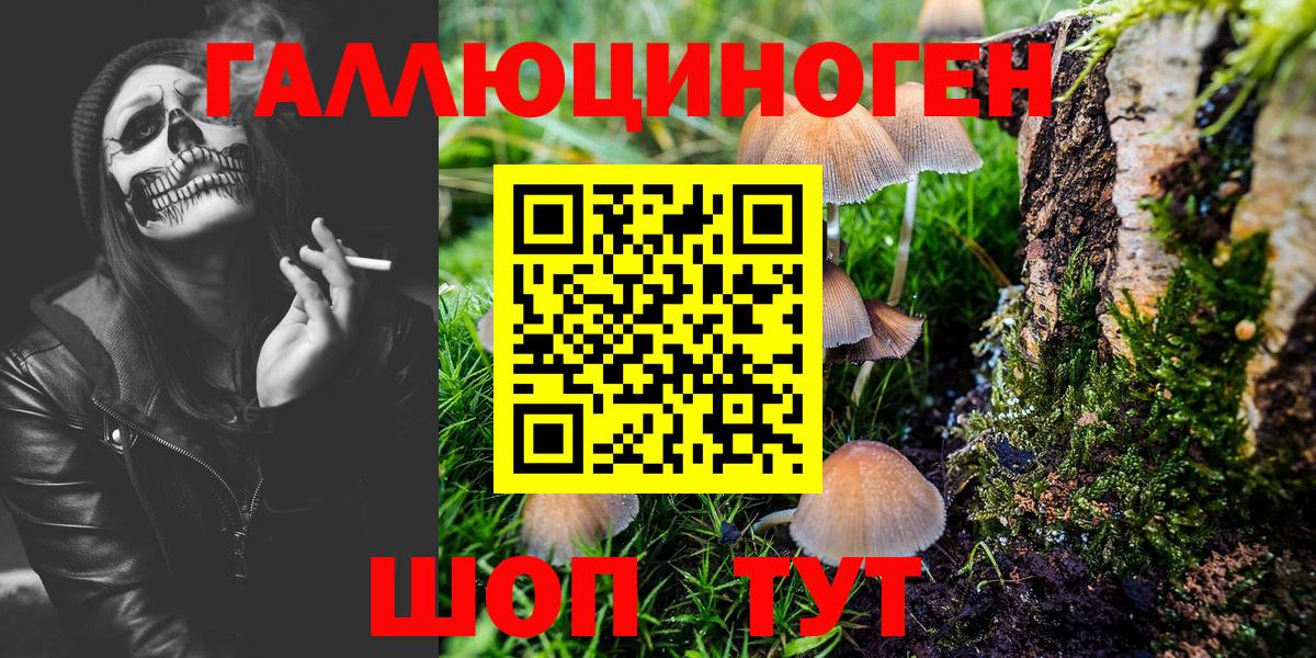 Галлюциногенные грибы ЛСД Удомля