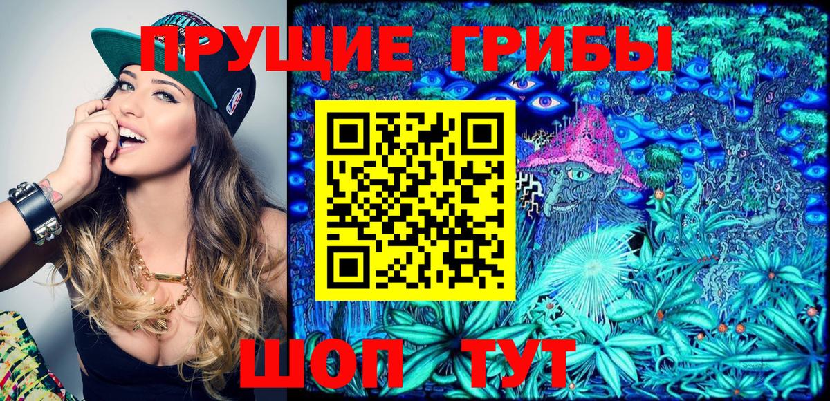 магазин  наркотиков  Вход с VPN  Удомля  Галлюциногенные грибы GOLDEN TEACHER 